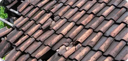 Roofing & structural issues