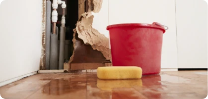 Plumbing, drainage/leaks