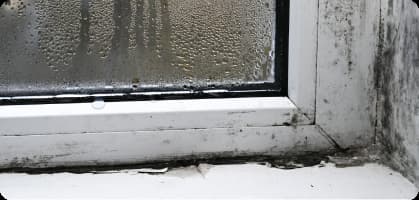 Damage to doors & windows