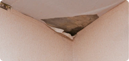 Ceiling & wall damage